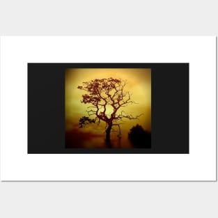 Evening Tree Posters and Art
